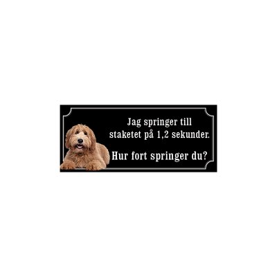 labradoodle ljusbrun
