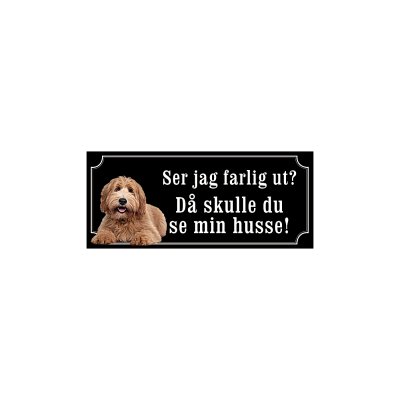 labradoodle ljusbrun