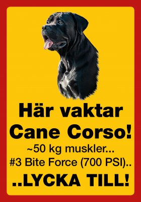 Här vaktar Cane Corso - 50 kg muskler bite force lycka till vakthund varning för hunden