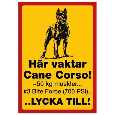 Här vaktar Cane Corso - 50 kg muskler bite force lycka till vakthund varning för hunden kuperad cane corso