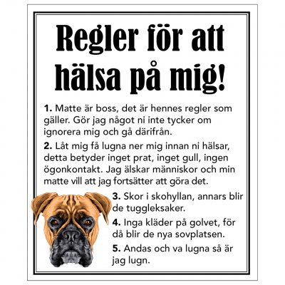 regler för att hälsa på mig boxer