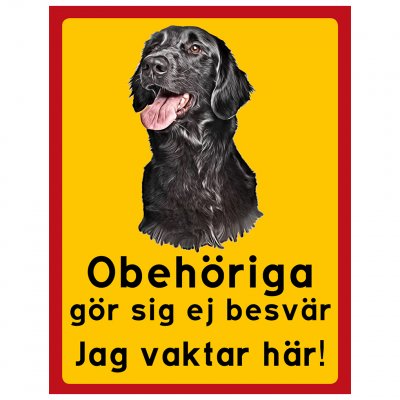 Obehöriga göre sig ej besvär - Flatcoated Retriever Flatte vakthund