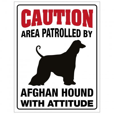 Afghan hound skylt här vaktar jag caution varning hund attityd attitude
