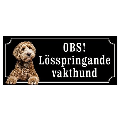 skylt ljusbrun labradoodle lösspringande vakthund hund