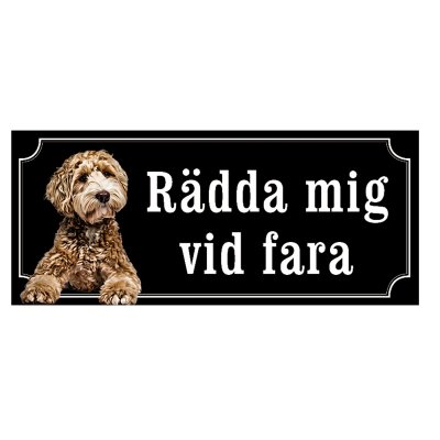skylt ljusbrun labradoodle rädda mig vid fara