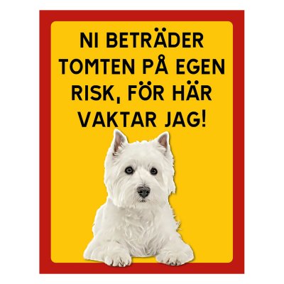 West highland white terrier - stående
