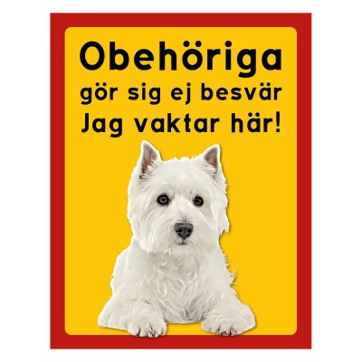 West highland white terrier - stående