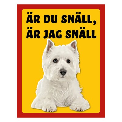 West highland white terrier - stående