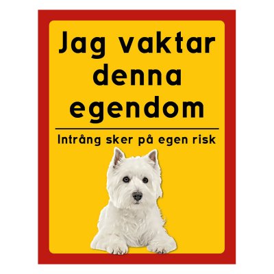 West highland white terrier - stående