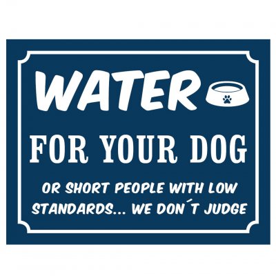 water for your dog hundskål vattenskål