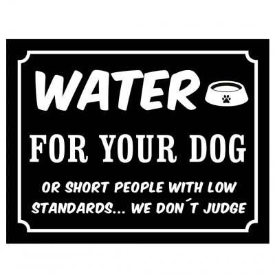 water for your dog hundskål vattenskål