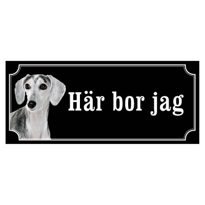 saluki Saluki Grå gammaldags stil emaljskylt skylt sign hundskylt Saluki fawn gulliga och finaste skyltenm med saluki svensk web