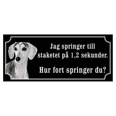 saluki Saluki Grå gammaldags stil emaljskylt skylt sign hundskylt Saluki fawn gulliga och finaste skyltenm med saluki svensk web
