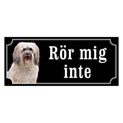 Shih tzu vit långhårig "gammaldags stil"