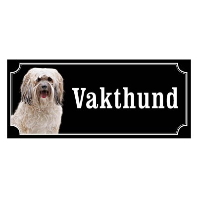 Shih tzu vit långhårig "gammaldags stil"