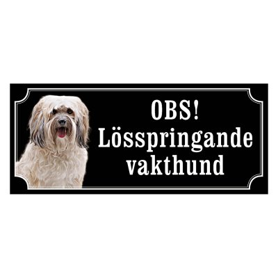 Shih tzu vit långhårig "gammaldags stil"