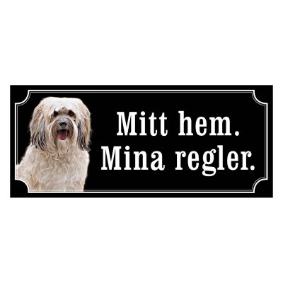 Shih tzu vit långhårig "gammaldags stil"