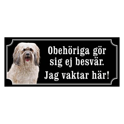 Shih tzu vit långhårig "gammaldags stil"