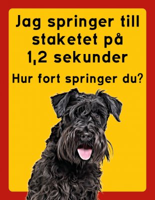 Dvärgschnauzer hundskyltar - stående