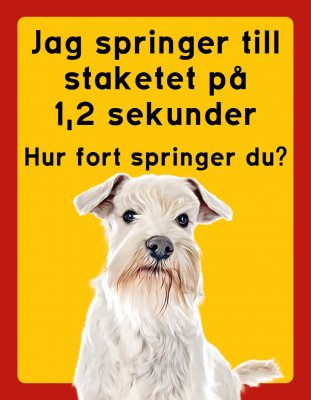 Dvärgschnauzer hundskyltar - stående