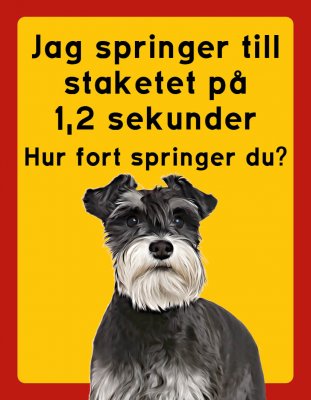 Dvärgschnauzer hundskyltar - stående
