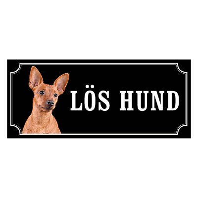 Dvärgpinscher röd gammaldags stil