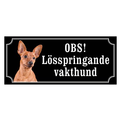 Dvärgpinscher röd gammaldags stil