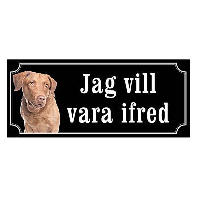 Chesapeake bay retriever gammaldags stil emaljskylt hund
