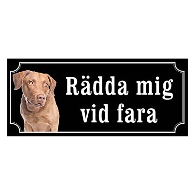 Chesapeake bay retriever gammaldags stil emaljskylt hund