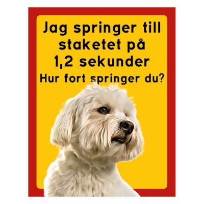 Röd/gul hundskylt, Coton de tulear hundskyltar, hundskyltar