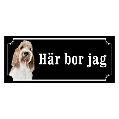 Grand basset griffon vendéen "gammaldags stil"