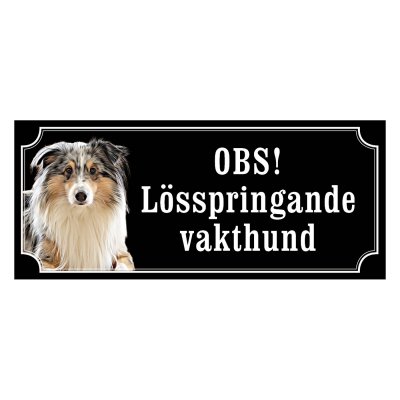 Collie blue merle gammaldags stil emaljskylt hund