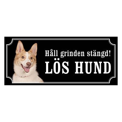 Norrbottenspets, spets, nobs hundskylt