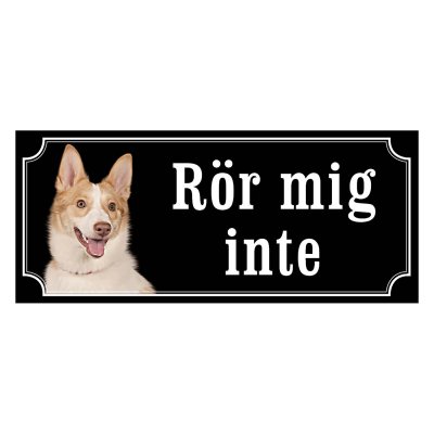 Norrbottenspets, spets, nobs hundskylt