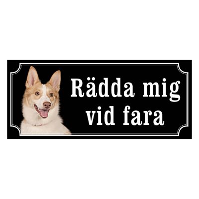 Norrbottenspets, spets, nobs hundskylt