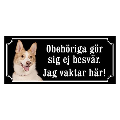 Norrbottenspets, spets, nobs hundskylt