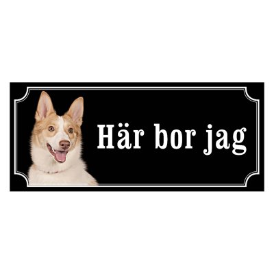 Norrbottenspets, spets, nobs hundskylt