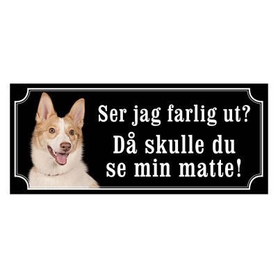 Norrbottenspets, spets, nobs hundskylt