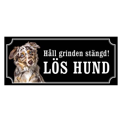 Miniature american shepherd hundskylt