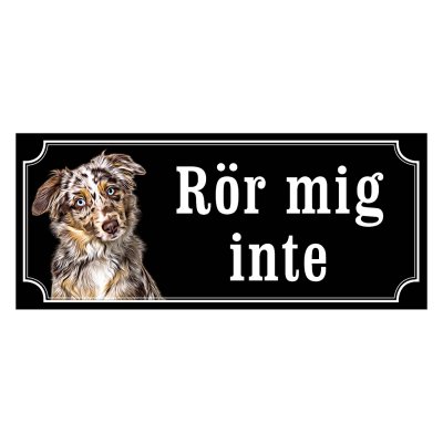 Miniature american shepherd hundskylt