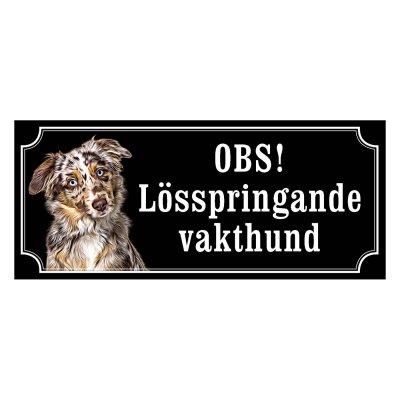 Miniature american shepherd hundskylt