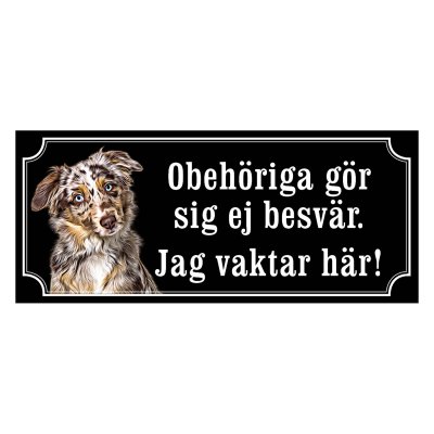 Miniature american shepherd hundskylt