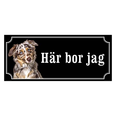 Miniature american shepherd hundskylt