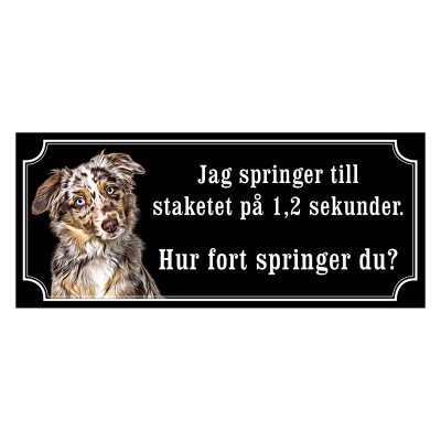 Miniature american shepherd hundskylt