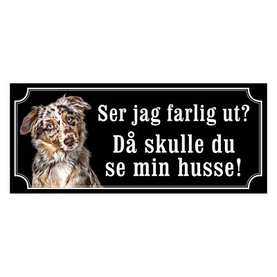 Miniature american shepherd hundskylt