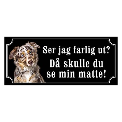 Miniature american shepherd hundskylt