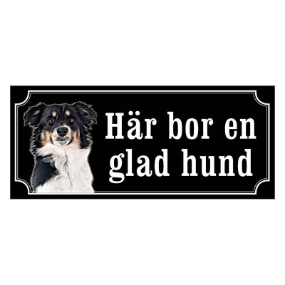 Miniature american shepherd hundskyltar