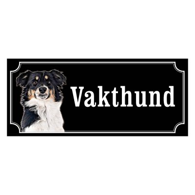 Miniature american shepherd hundskyltar