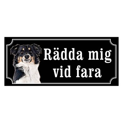 Miniature american shepherd hundskyltar