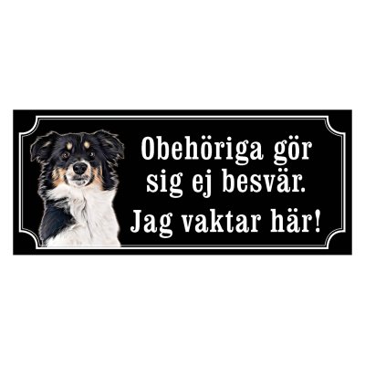 Miniature american shepherd hundskyltar